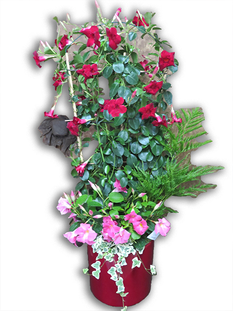  Plantes vertes Plantes fleuries composition Esat Vivre  Ref. PVPF14 - 80 euros 