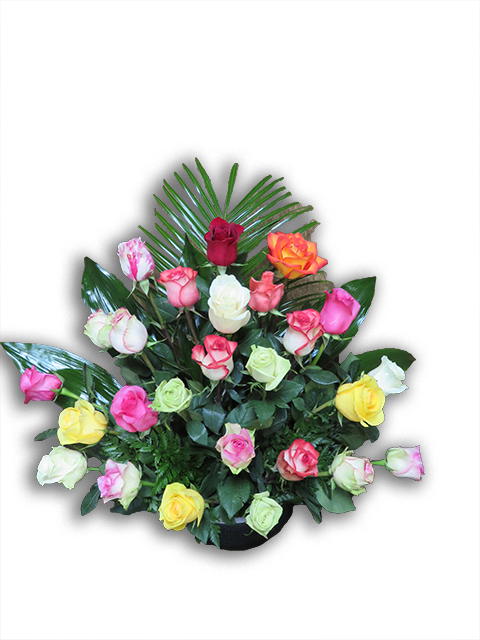  Plantes vertes Plantes fleuries composition Esat Vivre  Ref. PVPF21 - 55 euros 