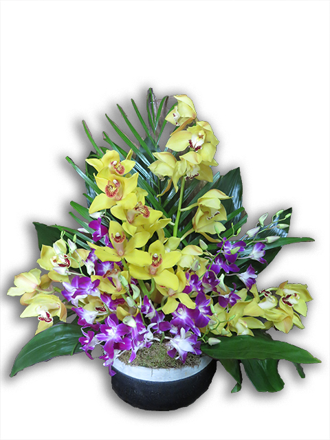  Plantes vertes Plantes fleuries composition Esat Vivre  Ref. PVPF22 - 50 euros 