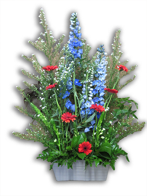  Plantes vertes Plantes fleuries composition Esat Vivre  Ref. PVPF32 - 50 euros 