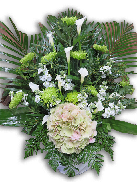  Plantes vertes Plantes fleuries composition Esat Vivre  Ref. PVPF34 - 70 euros 