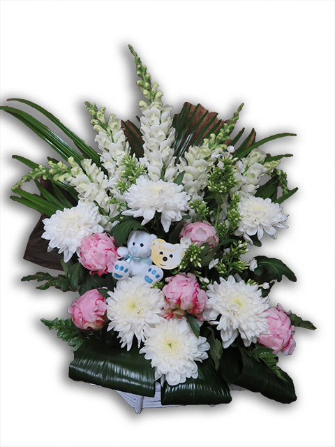  Panier naissance Esat Vivre  Ref. PN01 - 60 euros 