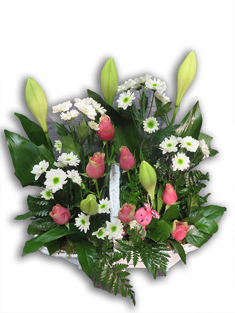  Panier naissance Esat Vivre  Ref. PN03 - 65 euros 