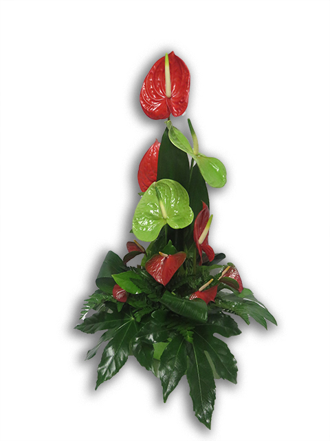  Composition exotique Esat Vivre  Ref. CE03  - 50 euros 