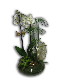  Plantes vertes Plantes fleuries composition Esat Vivre  Ref. PVPF54 - 80 euros 