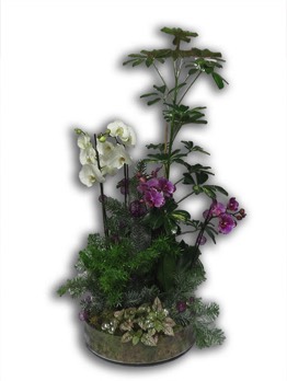 Plantes vertes Plantes fleuries composition Esat Vivre  Ref. PVPF56 - 90 euros 