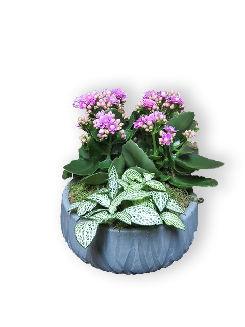  Centre de table Esat Vivre Ref. CDT02 - 25€ 
