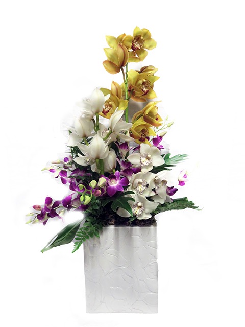  Plantes vertes Plantes fleuries composition Esat Vivre  Ref. PVPF04 - 70€ 