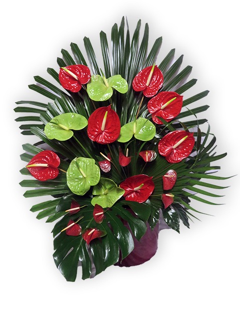  Plantes vertes Plantes fleuries composition Esat Vivre Ref. PVPF03 - 100 € 
