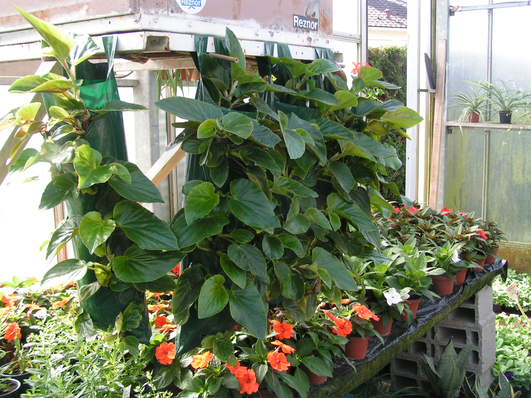  sacs suspension 9€ pièce 